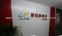 碧桂园爆料最新消息聊城,揭秘未来发展蓝图”